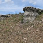 Der Lebensraum der Berghexen und Ockerbindigen Samtfalter in der Thüringischen Rhön 02