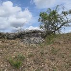 Der Lebensraum der Berghexen und Ockerbindigen Samtfalter in der Thüringischen Rhön 03