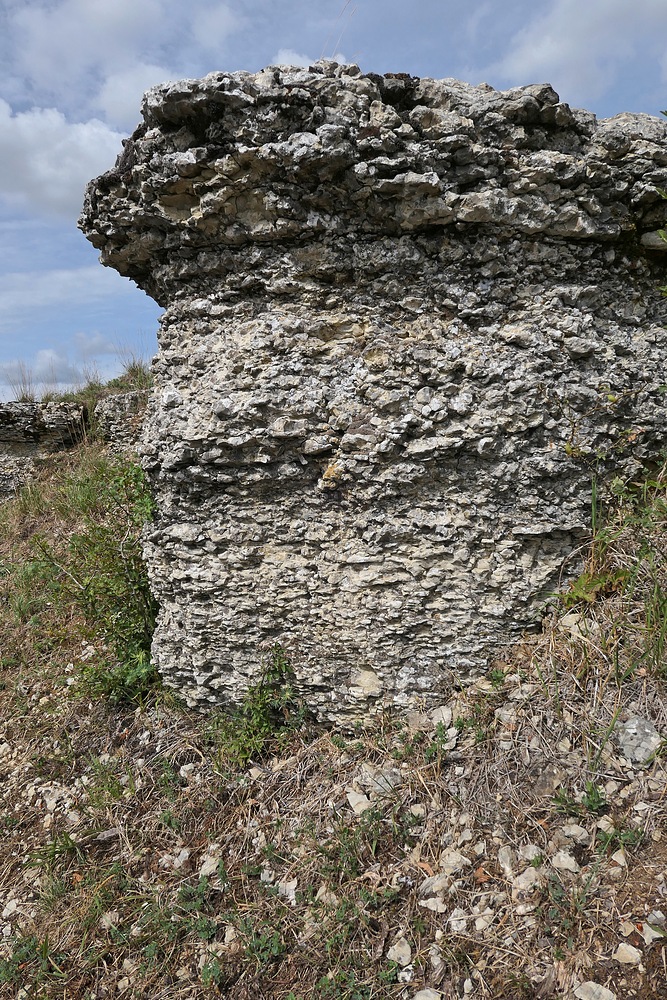 Der Lebensraum der Berghexen und Ockerbindigen Samtfalter in der Thüringischen Rhön 04