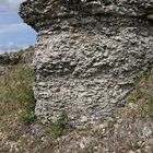 Der Lebensraum der Berghexen und Ockerbindigen Samtfalter in der Thüringischen Rhön 04