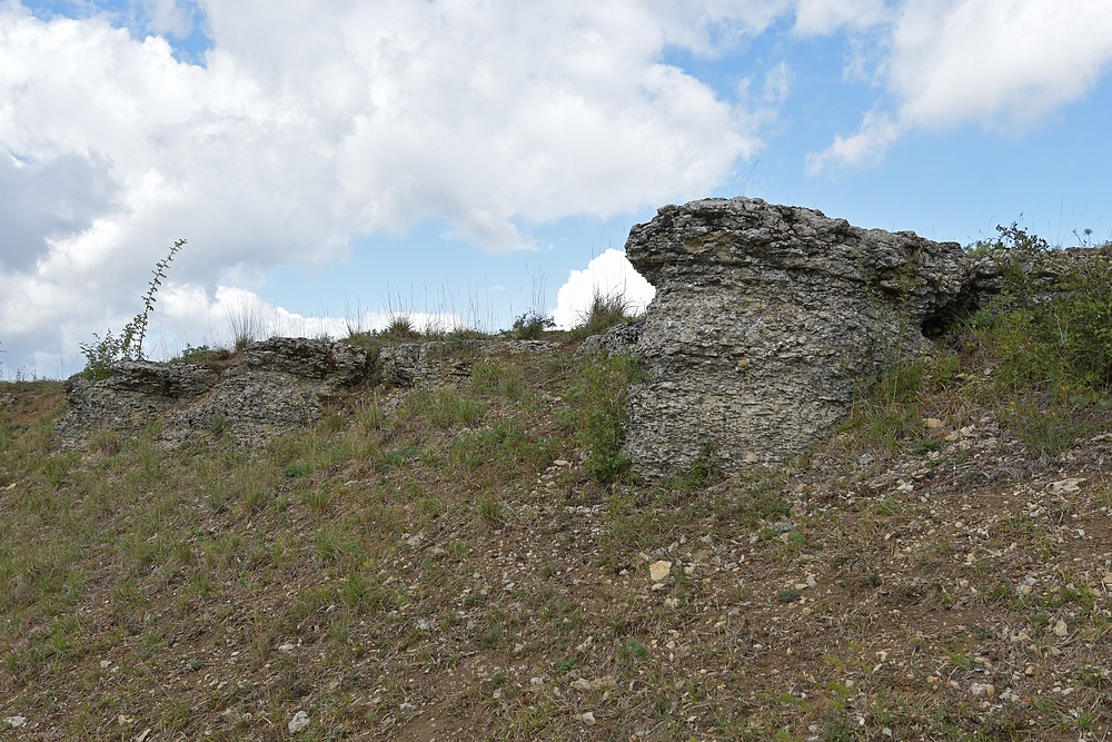 Der Lebensraum der Berghexen und Ockerbindigen Samtfalter in der Thüringischen Rhön 06