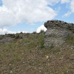 Der Lebensraum der Berghexen und Ockerbindigen Samtfalter in der Thüringischen Rhön 06