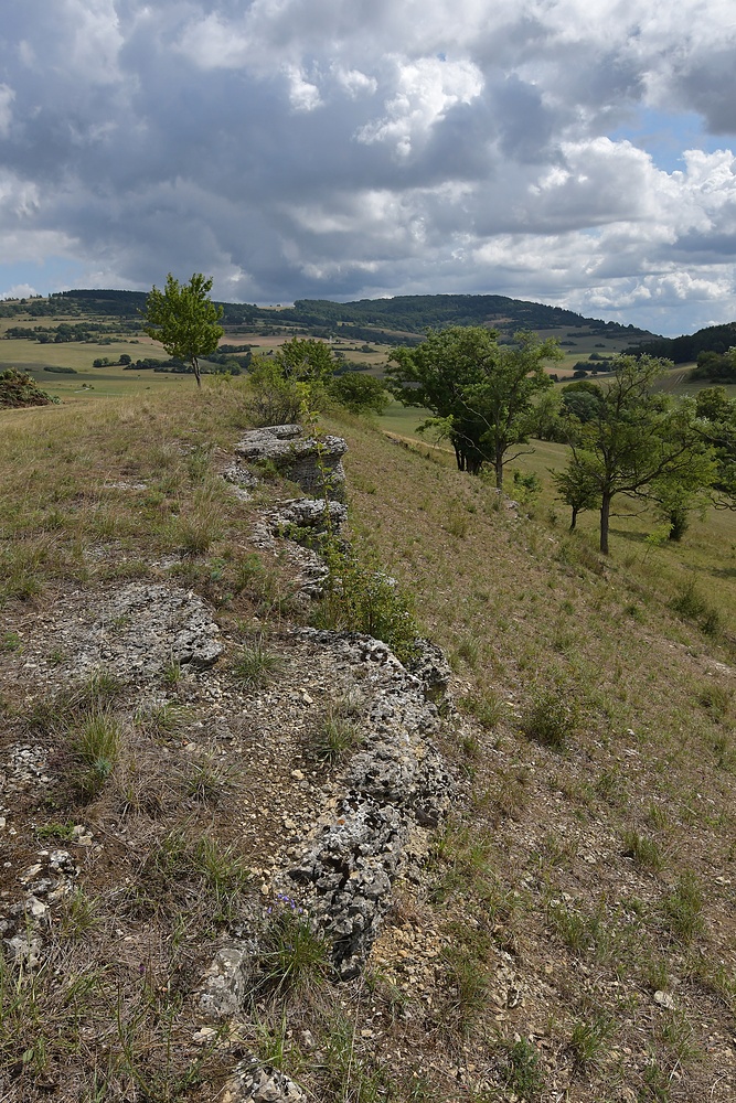 Der Lebensraum der Berghexen und Ockerbindigen Samtfalter in der Thüringischen Rhön 09