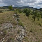 Der Lebensraum der Berghexen und Ockerbindigen Samtfalter in der Thüringischen Rhön 09