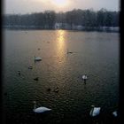 Der Lech bei Schneefall und Sonnenschein ....