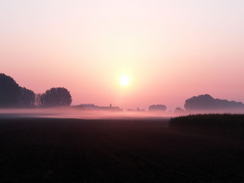 der leichte Schleier