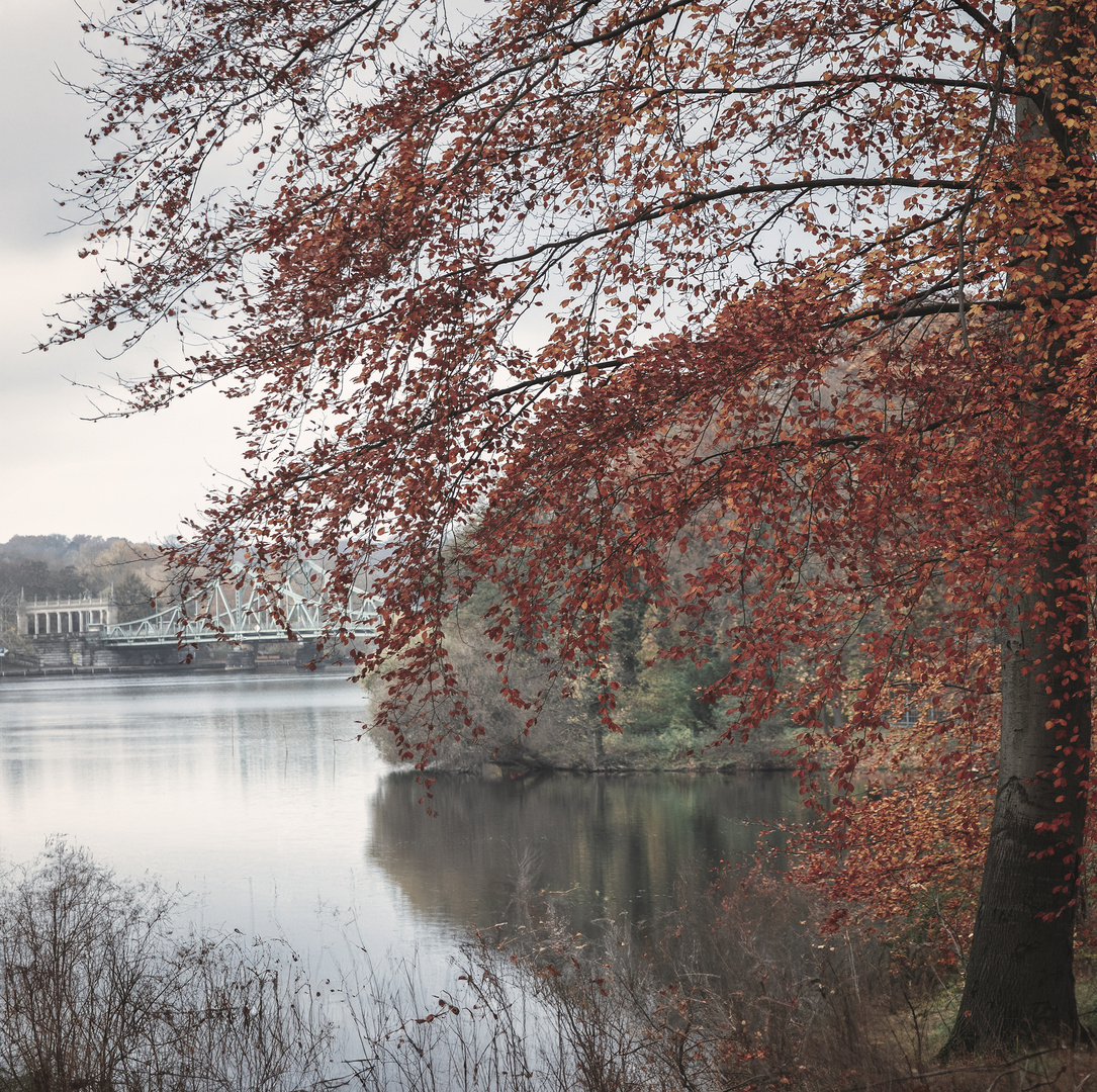 der leise Abschied vom Herbst ...