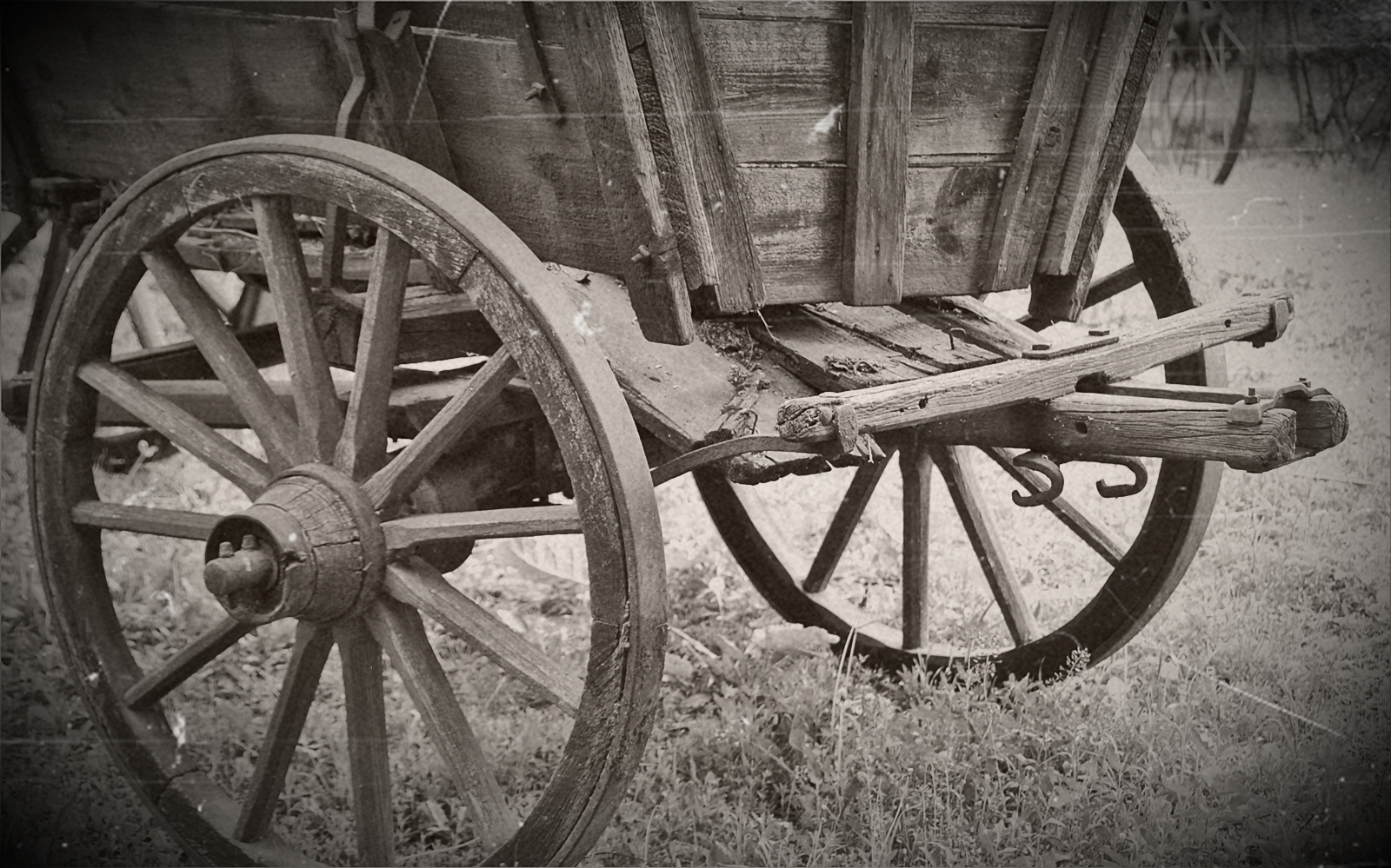 der Leiterwagen