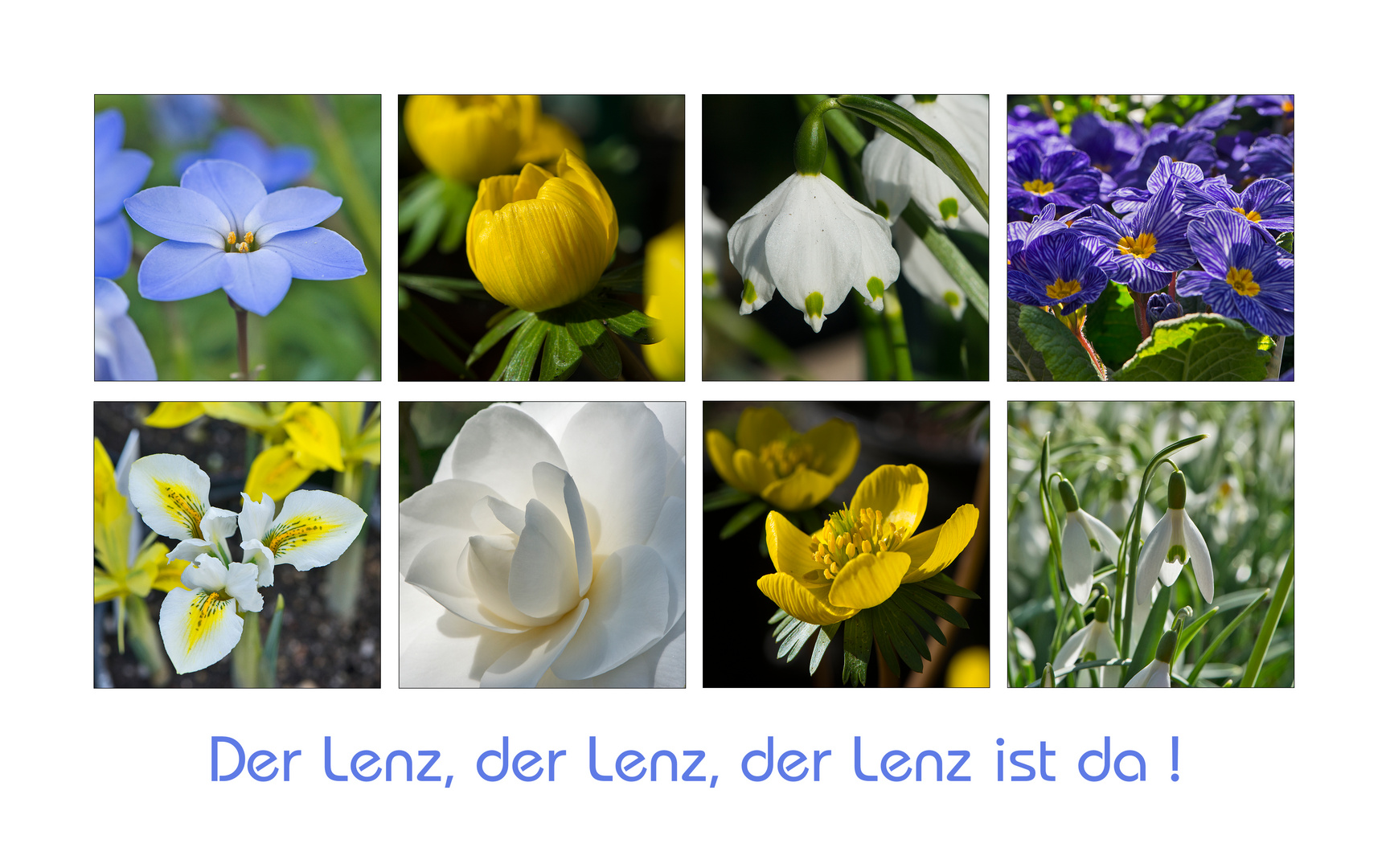 "Der Lenz, der Lenz . . .