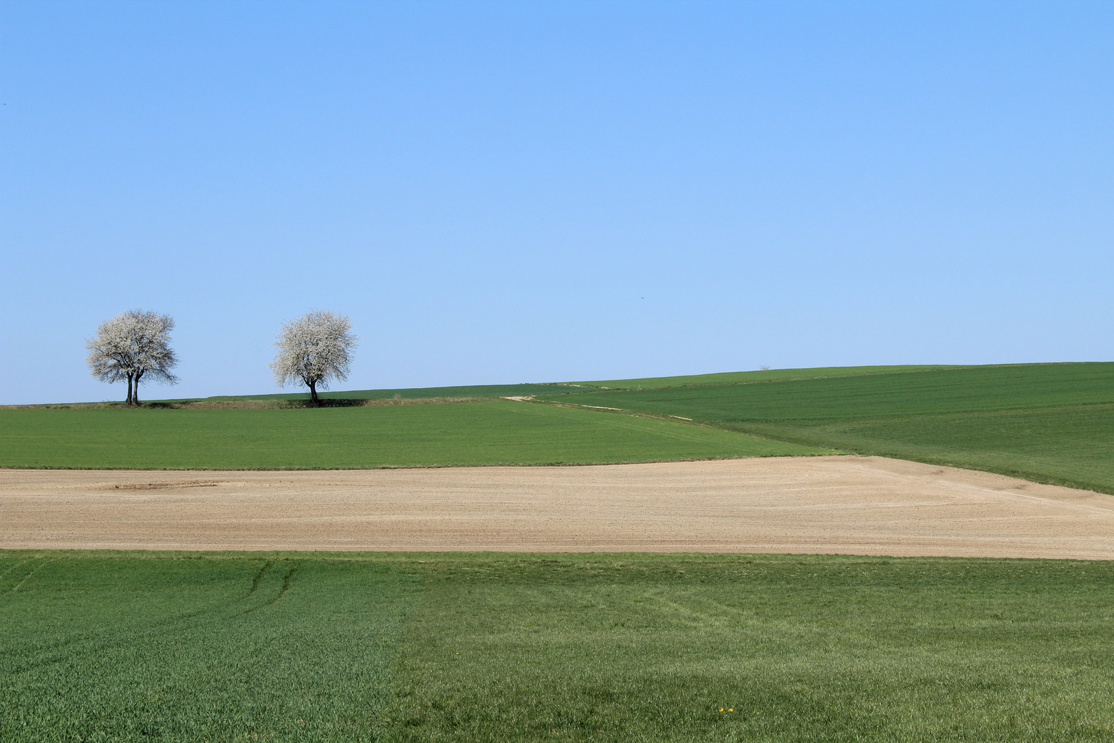 Der Lenz ist da...