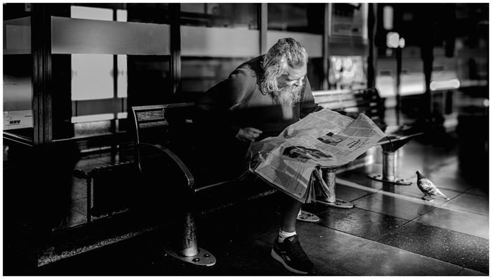 Der Lesende und die stille Taube