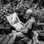 Der Leser