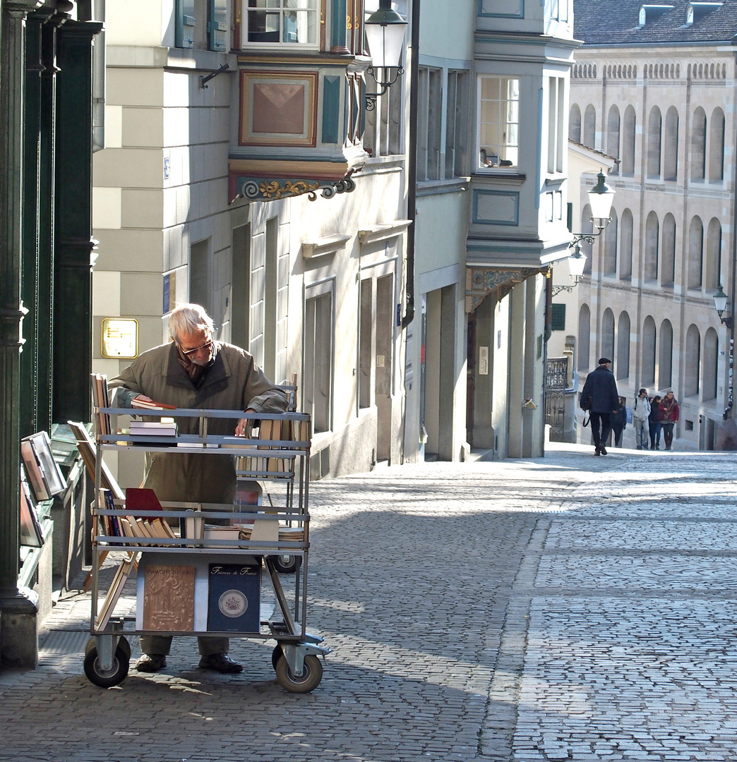 Der Leser