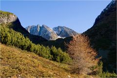 der letschte Larch