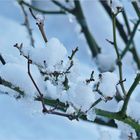 der letze Schnee schmilzt dahin