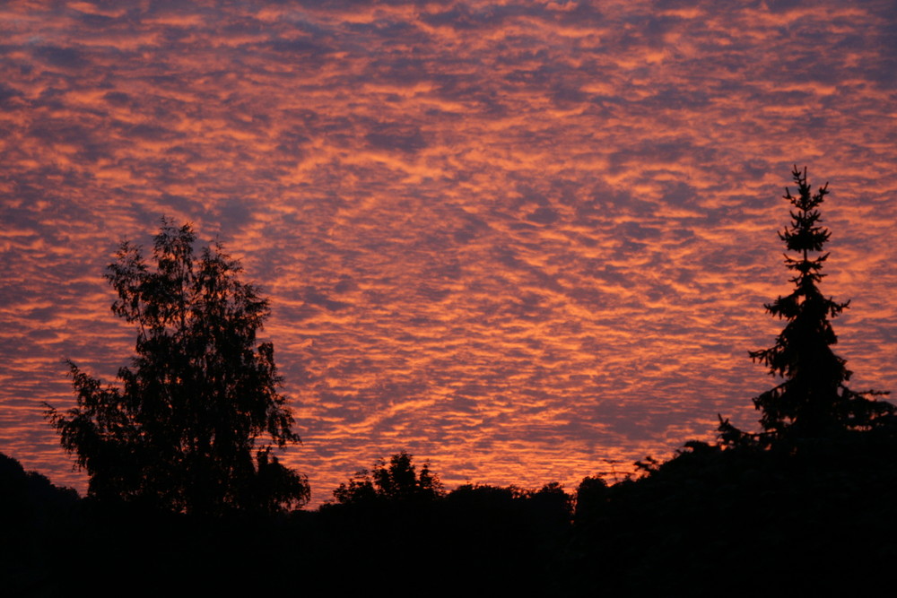 Der letzte Abend im Juli