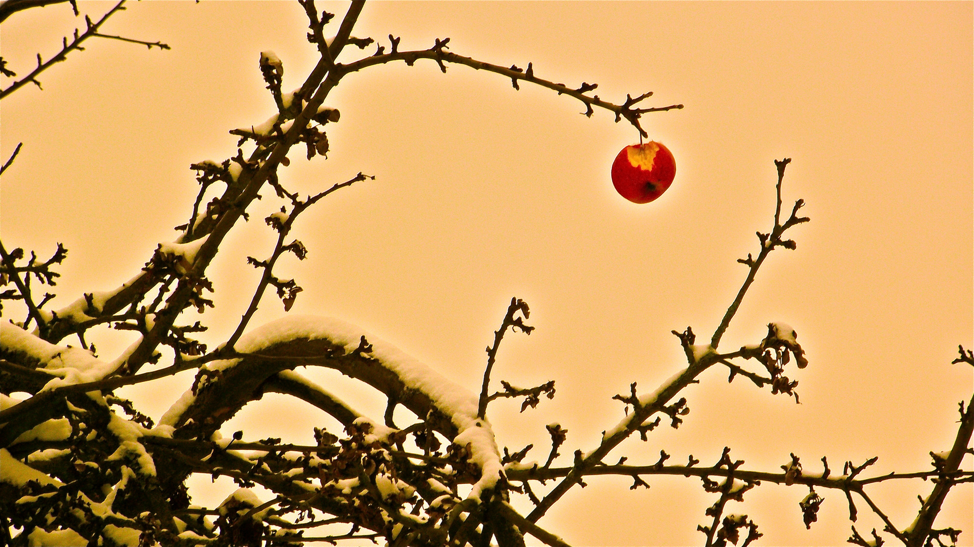 Der letzte Apfel