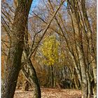 Der letzte Baum in grün