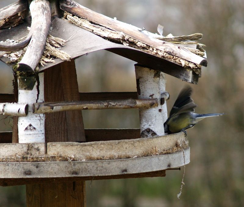 Der letzte Besucher.......