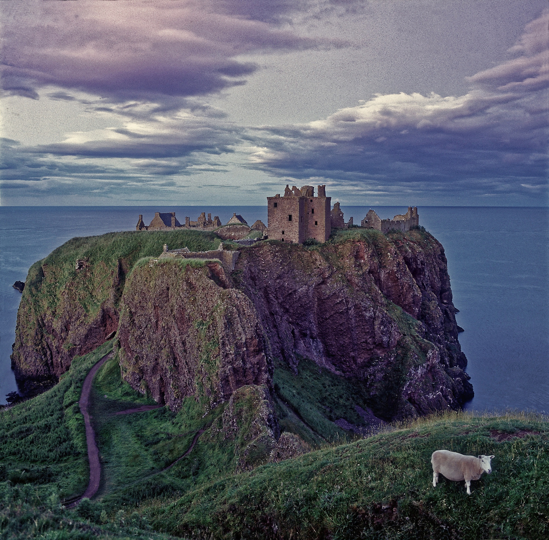 DER LETZTE BESUCHER IM DUNNOTAR CASTLE