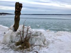 Der letzte Blick auf den Winter (18.02.2021)?