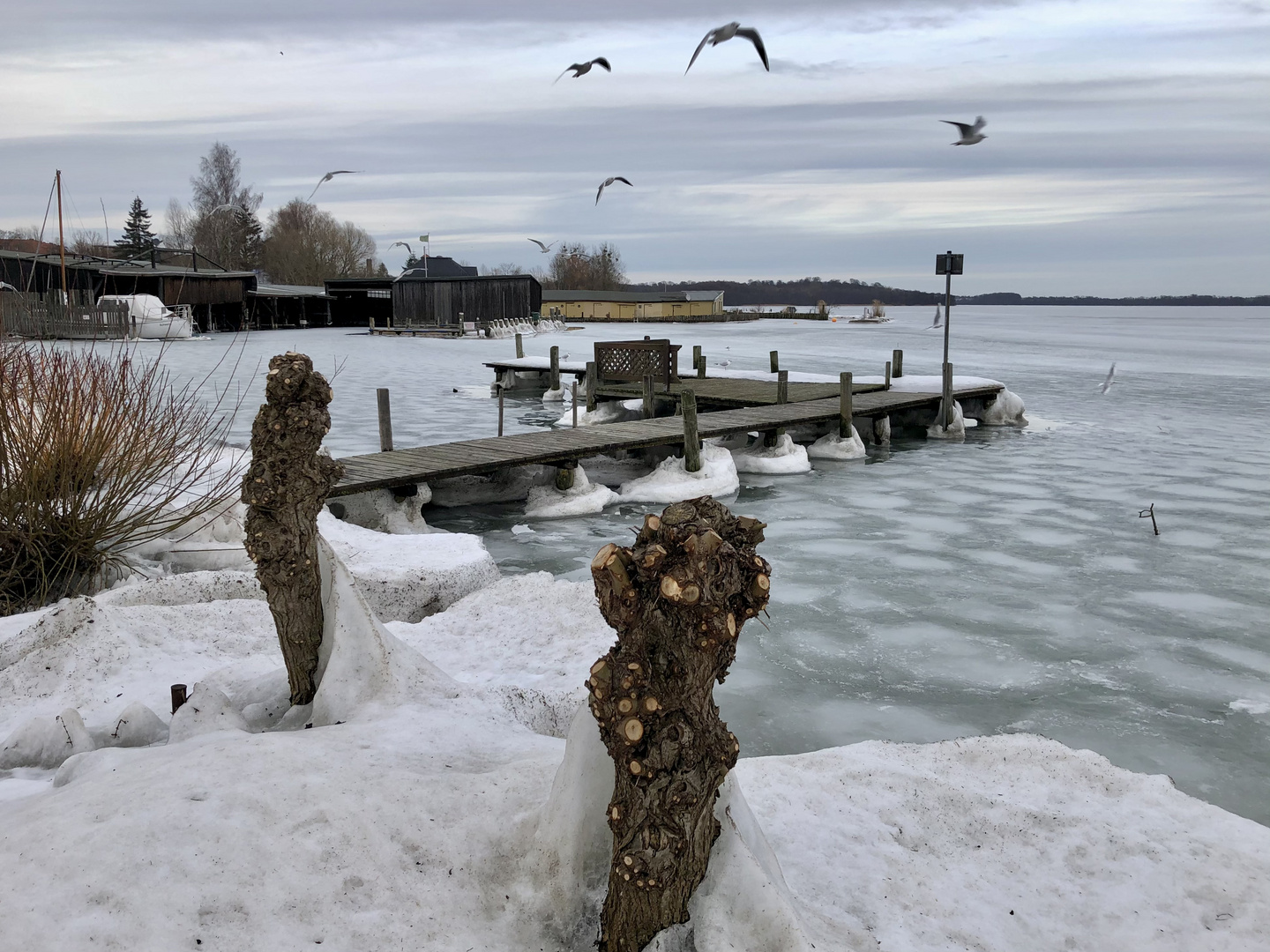 Der letzte Blick auf den Winter (18.02.2021)?