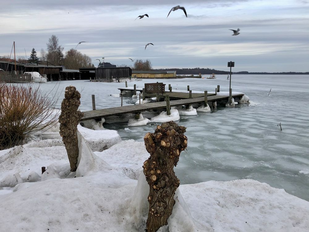 Der letzte Blick auf den Winter (18.02.2021)?