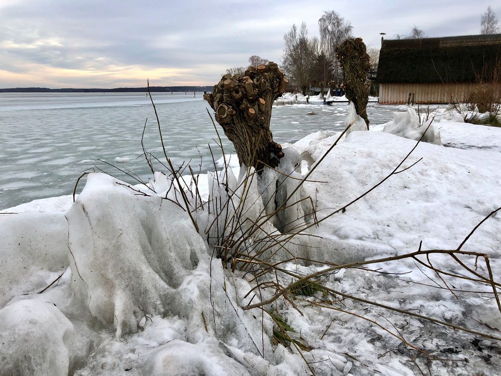 Der letzte Blick auf den Winter (18.02.2021)?