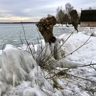 Der letzte Blick auf den Winter (18.02.2021)?