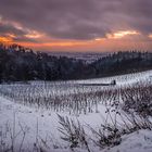 Der letzte Eiswein