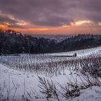 Der letzte Eiswein