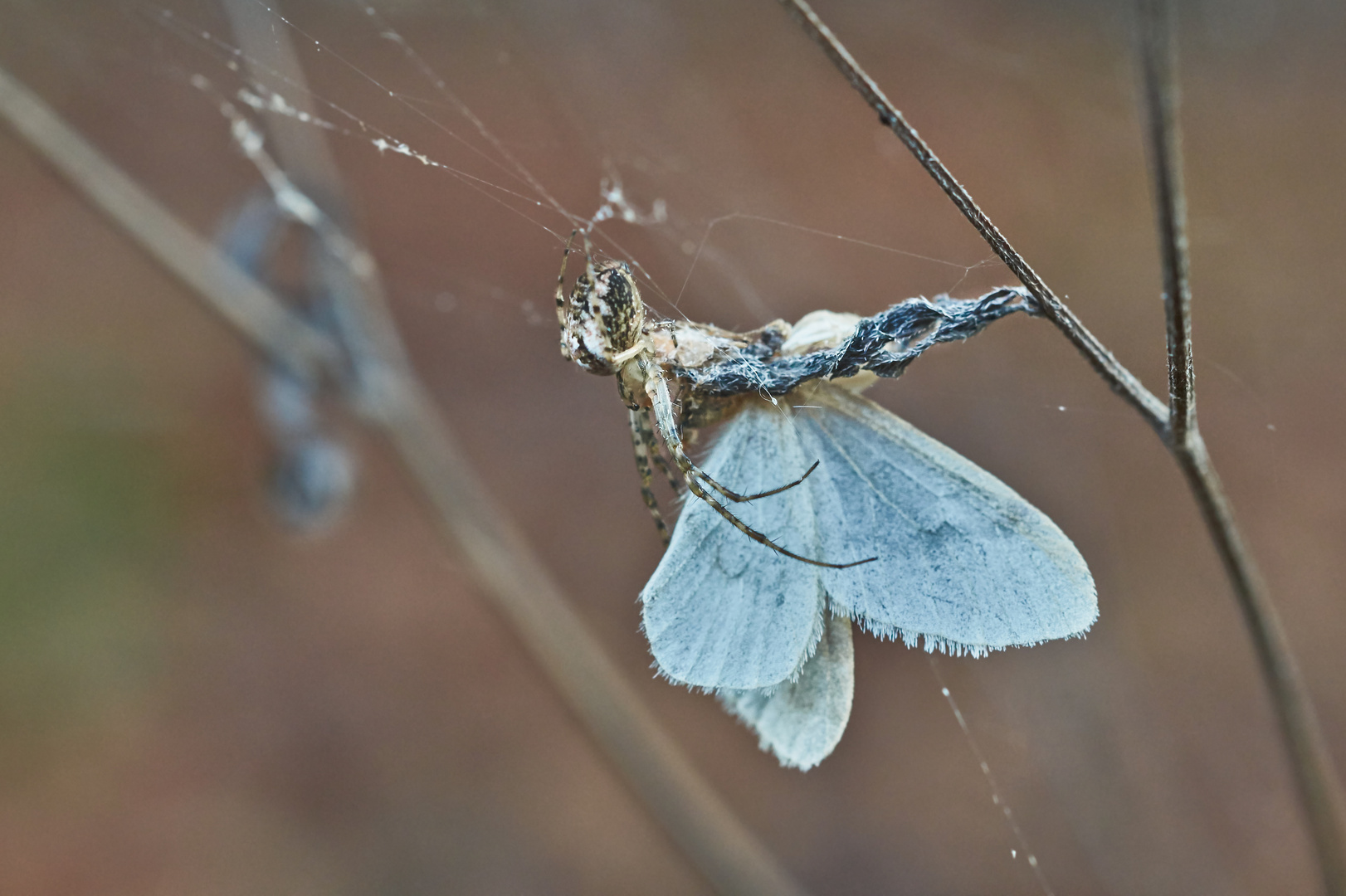 Der letzte Flug....