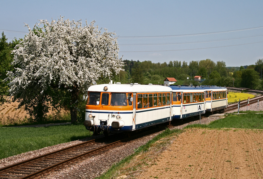 Der letzte Frühling