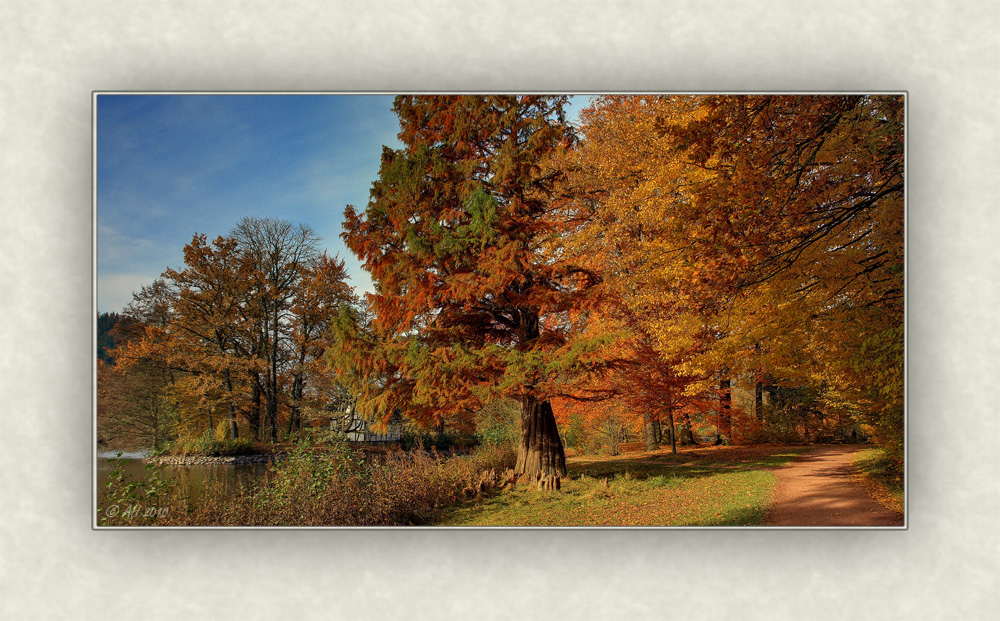 Der letzte Herbst...