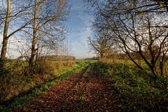 der letzte Herbst am Niederrhein . . .