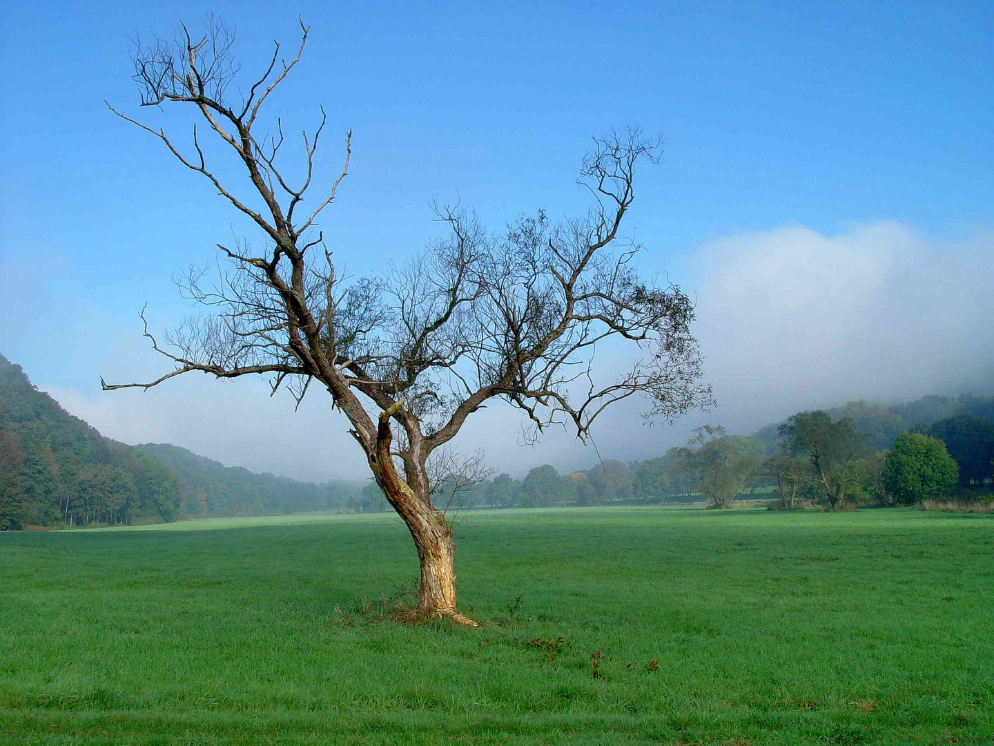 Der letzte Herbst