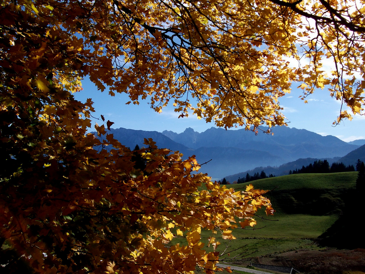 Der letzte Herbstausflug