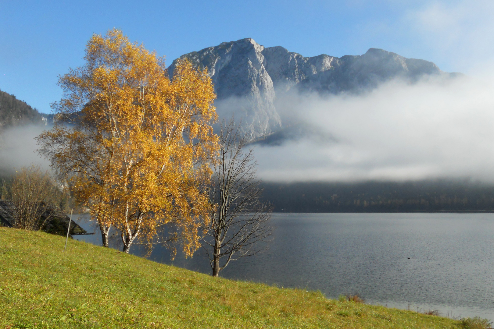 Der letzte Herbstgruß...