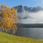 Der letzte Herbstgruß...