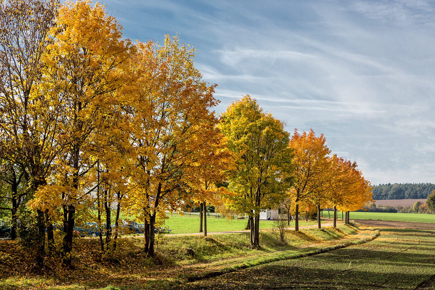 Der letzte Herbstspaziergang?