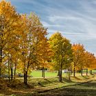 Der letzte Herbstspaziergang?