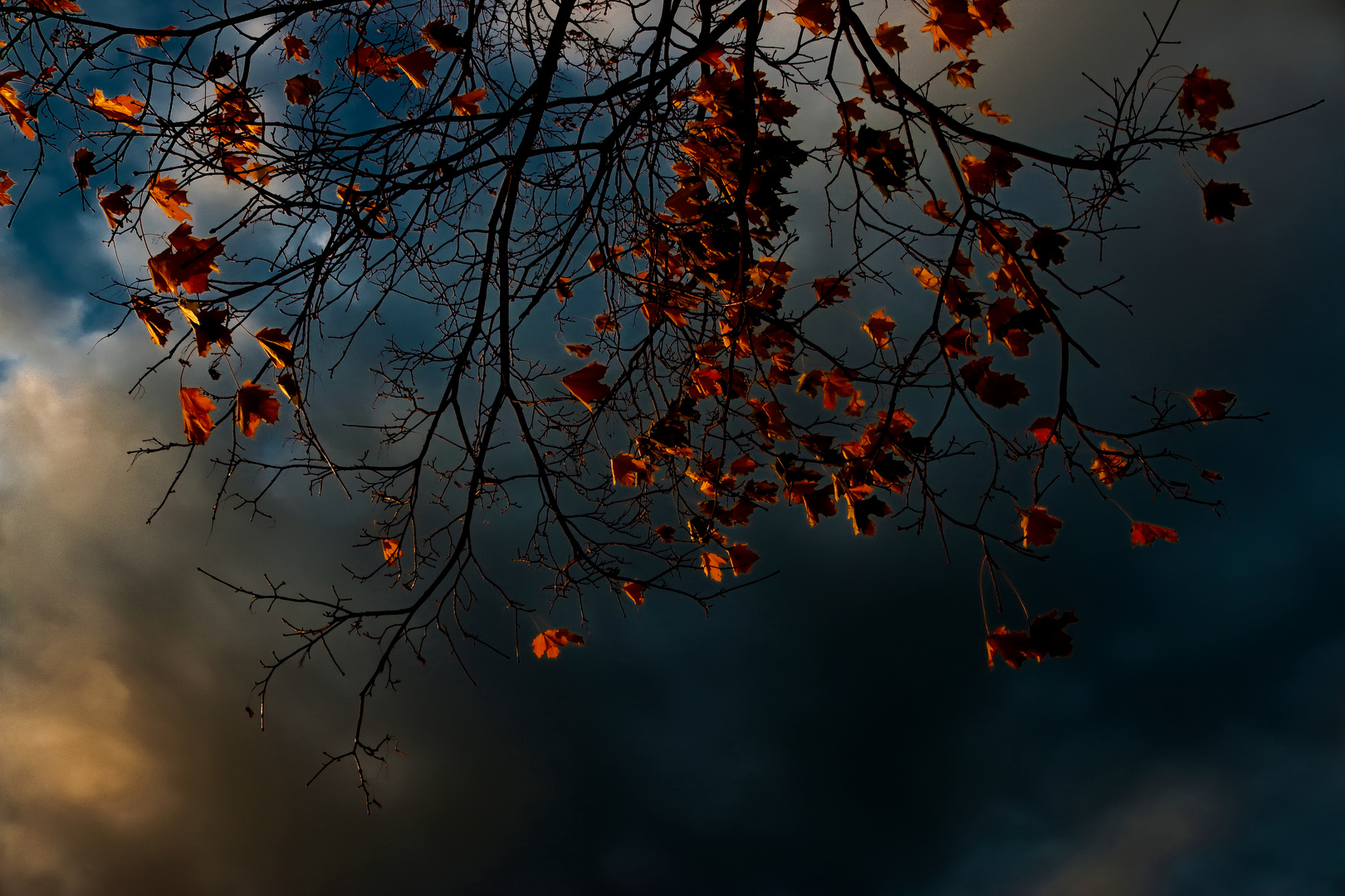 Der letzte Herbstwind räumt auf ...