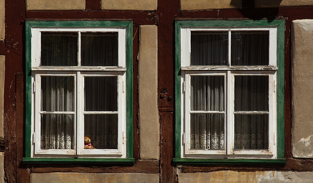 Der Letzte macht das Fenster zu!