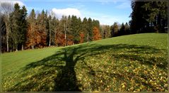 Der letzte milde Herbstnachmittag vor dem Wintereinbruch ?