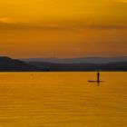 der letzte Mohikaner am Balaton... 