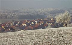 Der letzte Nachtfrost ...