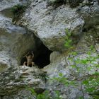 Der letzte Neandertaler 