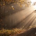 Der letzte Nebel des Morgens