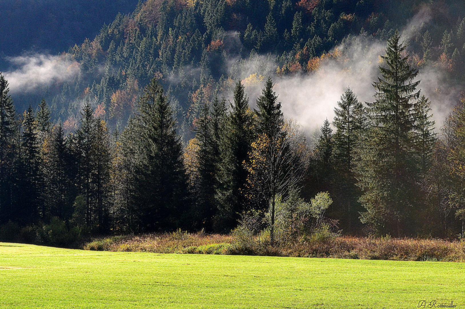 Der letzte Nebel!