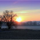 Der letzte Novembermorgen 2016